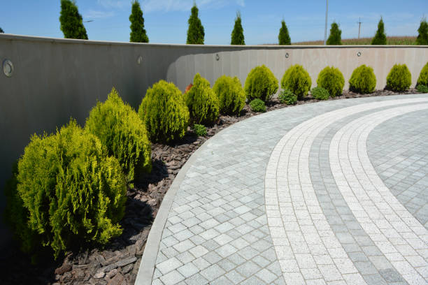 Best Driveway Paving Contractor  in Moreno Valley, CA